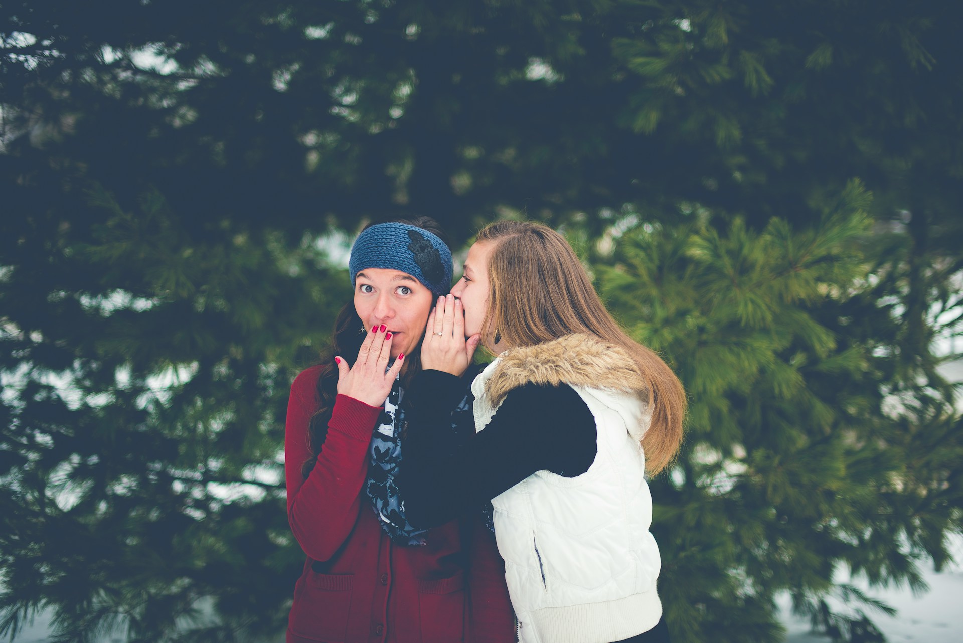 Devotion: The Power of Words